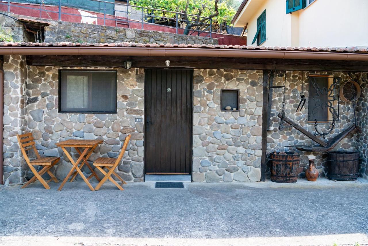 Antica Macina - “La Taverna” Rocchetta Nervina Eksteriør bilde
